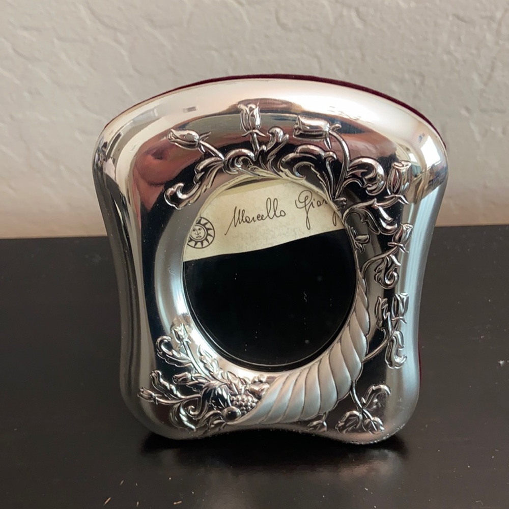 NWT Marcello Giorgio Frame/Mirror - Vining Floral